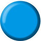 Gel Color Brush Up - UP19