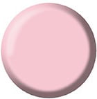 Gel Color Brush Up - UP20