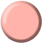 Gel Color Brush Up - UP21