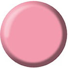 Gel Color Brush Up - UP22
