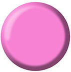 Gel Color Brush Up - UP24