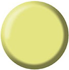 Gel Color Brush Up - UP26