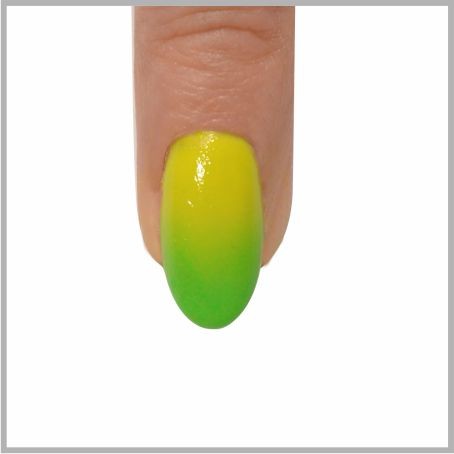 DOINA | Brush Rainbow DOINA | 1611 Brush RAINBOW