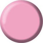 Gel Color Brush Up - UP04