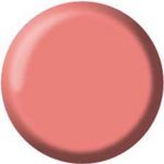 Gel Color Brush Up - UP06
