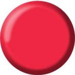 Gel Color Brush Up - UP08