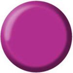 Gel Color Brush Up - UP10