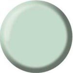 Gel Color Brush Up - UP15