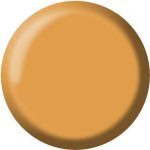 Gel Color Artistic - A17