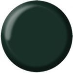Gel Color Classic - C17