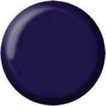 Gel Color Classic - C09
