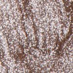 Gel Semipermanente Overlac GT - Linea Glitter 15 ml - GT01