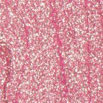 Gel Semipermanente Overlac GT - Linea Glitter 15 ml - GT20