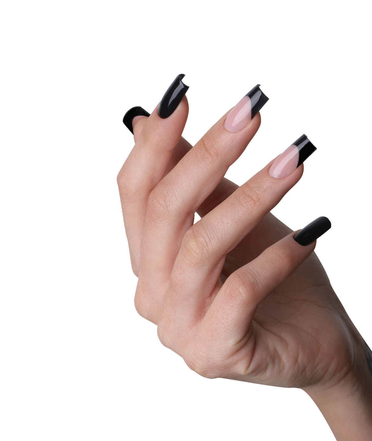 DOINA | CARRÉ MODERNE ET FRENCH EN SURFACE